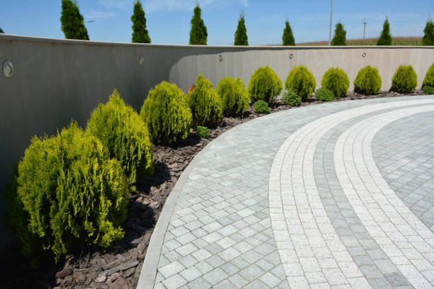 Best Custom Driveway Pavers  in Trappe, MD
